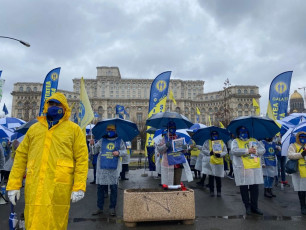 WhatsApp Image 2021-03-01 at 12.35.35 (1)