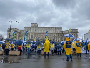 WhatsApp Image 2021-03-01 at 12.37.25