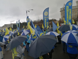 WhatsApp Image 2021-03-03 at 14.56.22 (2)